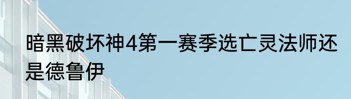 暗黑破坏神4第一赛季选亡灵法师还是德鲁伊