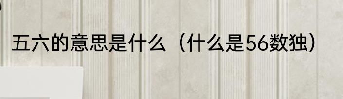 五六的意思是什么（什么是56数独）