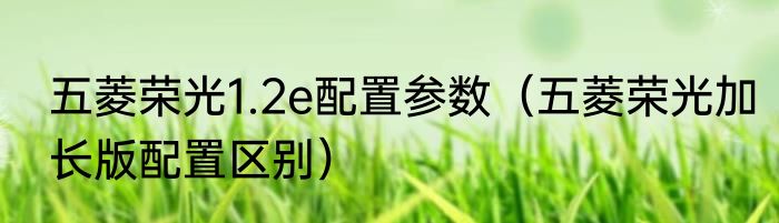 五菱荣光1.2e配置参数（五菱荣光加长版配置区别）