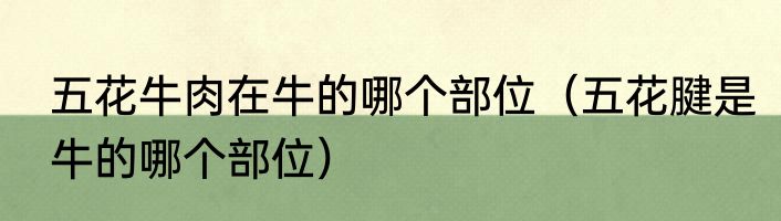 五花牛肉在牛的哪个部位（五花腱是牛的哪个部位）