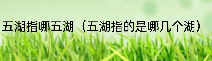 五湖指哪五湖（五湖指的是哪几个湖）