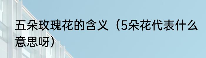 五朵玫瑰花的含义（5朵花代表什么意思呀）