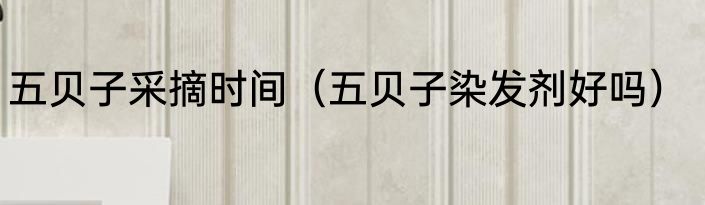 五贝子采摘时间（五贝子染发剂好吗）