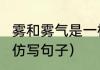 雾和雾气是一样的吗（雾是什么什么?仿写句子）