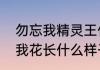 勿忘我精灵王什么叫勿忘我花（勿忘我花长什么样子）