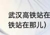 武汉高铁站在武昌还是汉口（武汉高铁站在那儿）