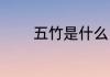 五竹是什么（五竹害怕什么）