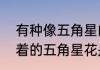 有种像五角星的花叫什么名字（倒吊着的五角星花是什么）