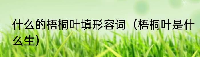 什么的梧桐叶填形容词（梧桐叶是什么生）