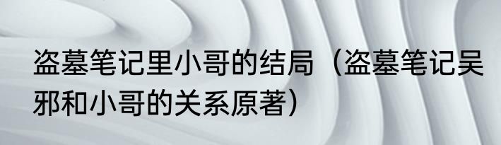盗墓笔记里小哥的结局（盗墓笔记吴邪和小哥的关系原著）