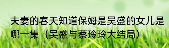 夫妻的春天知道保姆是吴盛的女儿是哪一集（吴盛与蔡玲玲大结局）