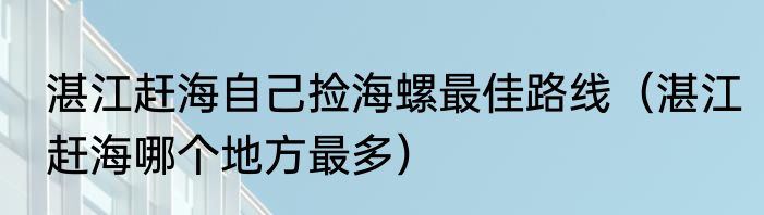 湛江赶海自己捡海螺最佳路线（湛江赶海哪个地方最多）