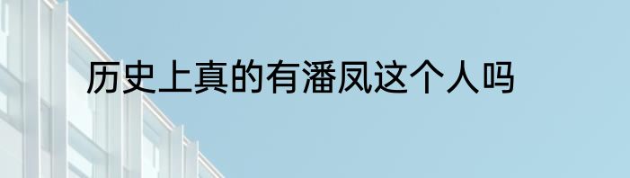 历史上真的有潘凤这个人吗