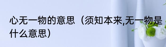 心无一物的意思（须知本来,无一物是什么意思）