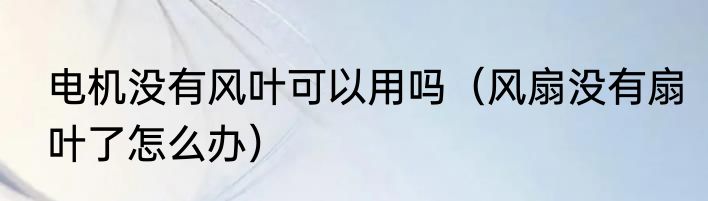 电机没有风叶可以用吗（风扇没有扇叶了怎么办）