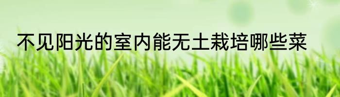 不见阳光的室内能无土栽培哪些菜
