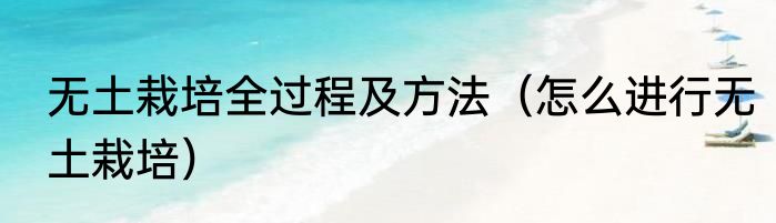 无土栽培全过程及方法（怎么进行无土栽培）
