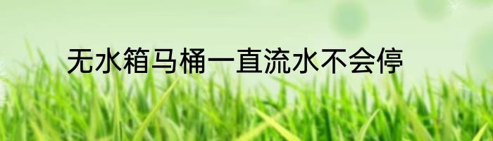 无水箱马桶一直流水不会停