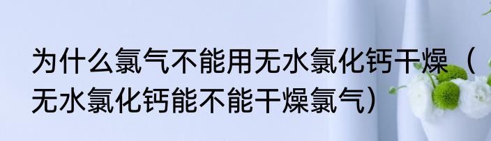 为什么氯气不能用无水氯化钙干燥（无水氯化钙能不能干燥氯气）