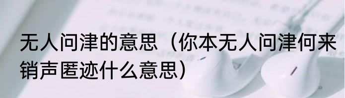 无人问津的意思（你本无人问津何来销声匿迹什么意思）