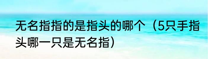 无名指指的是指头的哪个（5只手指头哪一只是无名指）
