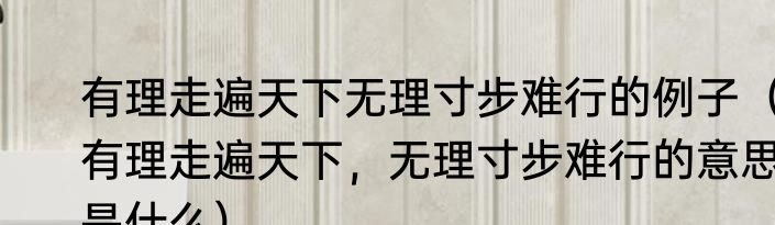有理走遍天下无理寸步难行的例子（有理走遍天下，无理寸步难行的意思是什么）