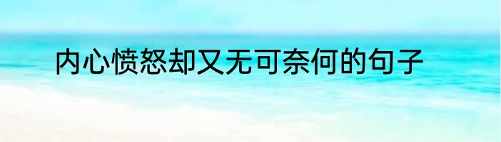 内心愤怒却又无可奈何的句子