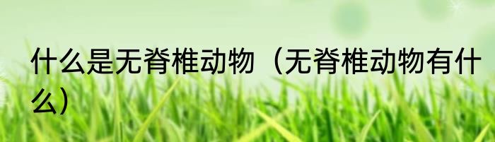 什么是无脊椎动物（无脊椎动物有什么）