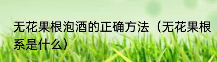 无花果根泡酒的正确方法（无花果根系是什么）