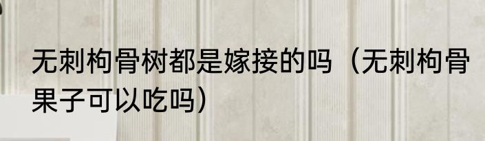 无刺枸骨树都是嫁接的吗（无刺枸骨果子可以吃吗）