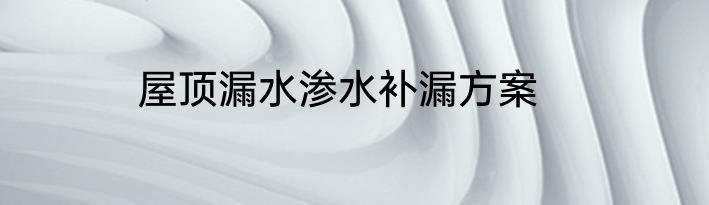 屋顶漏水渗水补漏方案