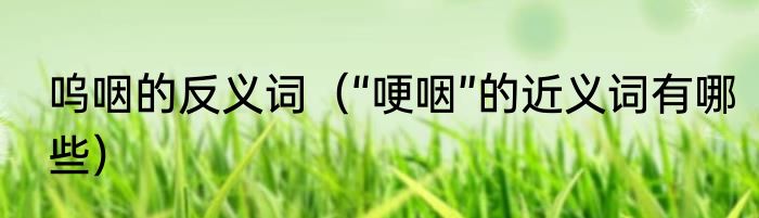 呜咽的反义词（“哽咽”的近义词有哪些）