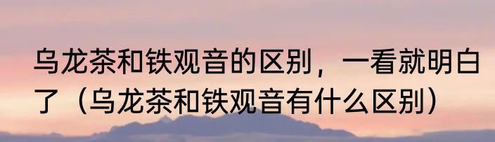 乌龙茶和铁观音的区别，一看就明白了（乌龙茶和铁观音有什么区别）