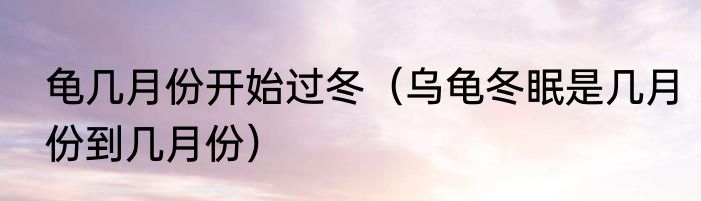龟几月份开始过冬（乌龟冬眠是几月份到几月份）