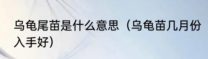 乌龟尾苗是什么意思（乌龟苗几月份入手好）