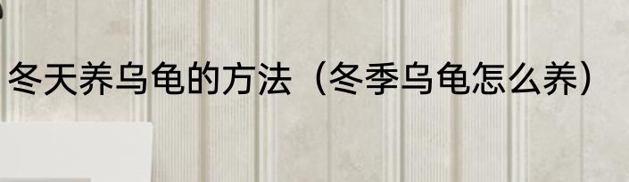 冬天养乌龟的方法（冬季乌龟怎么养）