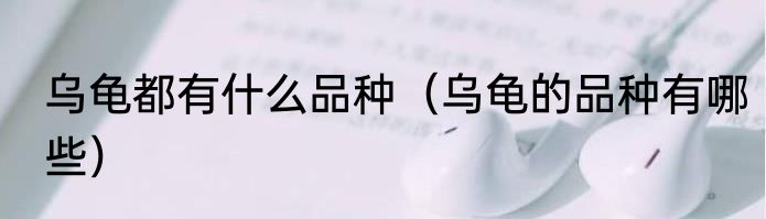 乌龟都有什么品种（乌龟的品种有哪些）