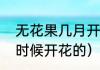 无花果几月开花挂果（无花果是什么时候开花的）