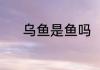 乌鱼是鱼吗（乌鱼是怎么来的）