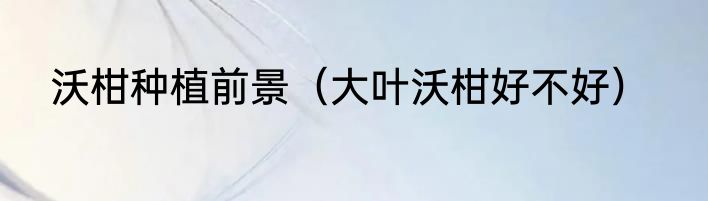 沃柑种植前景（大叶沃柑好不好）