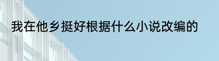 我在他乡挺好根据什么小说改编的