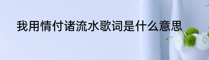 我用情付诸流水歌词是什么意思