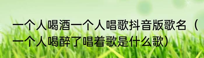 一个人喝酒一个人唱歌抖音版歌名（一个人喝醉了唱着歌是什么歌）