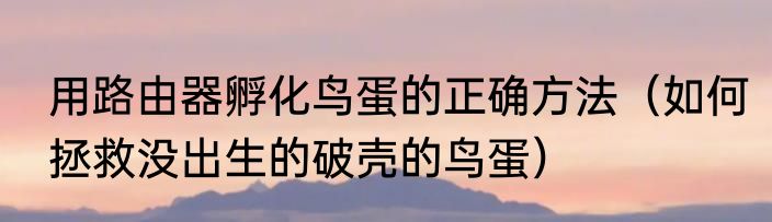 用路由器孵化鸟蛋的正确方法（如何拯救没出生的破壳的鸟蛋）
