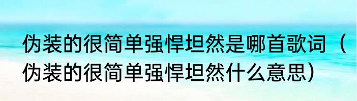 伪装的很简单强悍坦然是哪首歌词（伪装的很简单强悍坦然什么意思）