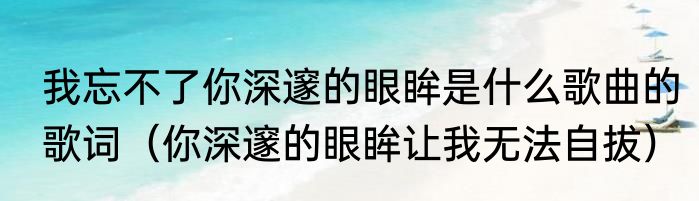 我忘不了你深邃的眼眸是什么歌曲的歌词（你深邃的眼眸让我无法自拔）