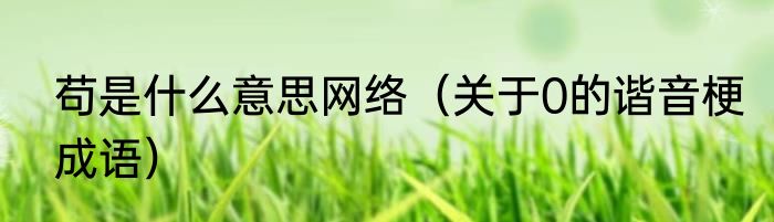 苟是什么意思网络（关于0的谐音梗成语）