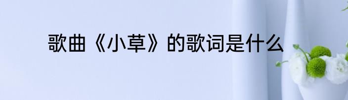 歌曲《小草》的歌词是什么