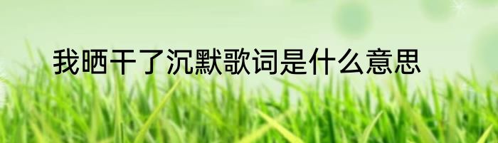 我晒干了沉默歌词是什么意思