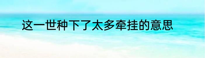 这一世种下了太多牵挂的意思